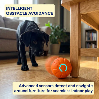 Interactive LED Dog Ball