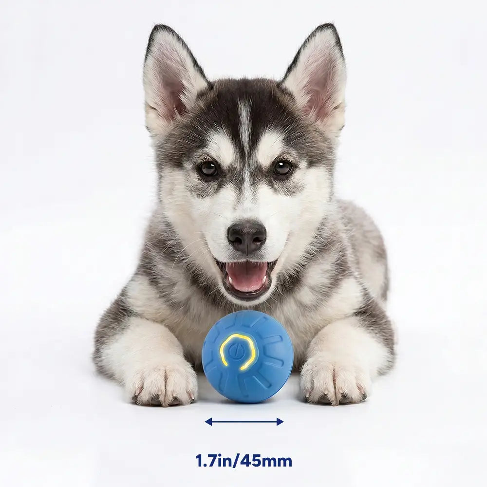 Interactive LED Dog Ball