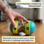 Treat Dispensing Dog Roller