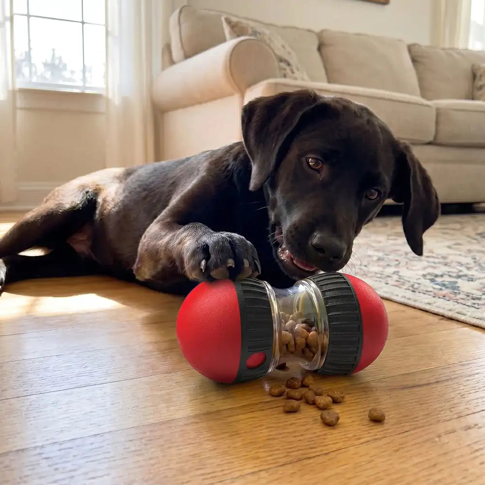 Treat Dispensing Dog Roller