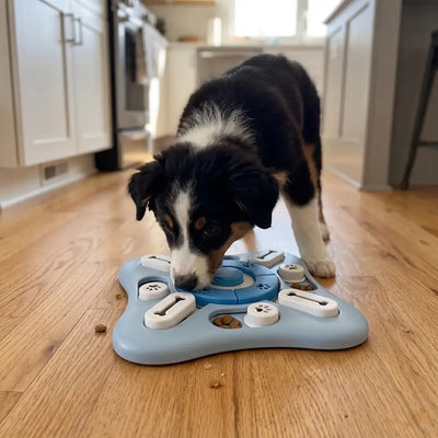 Pet IQ Training Feeder Board