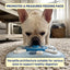 Pet IQ Training Feeder Board