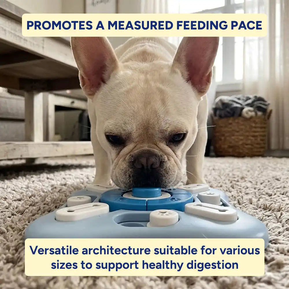 Pet IQ Training Feeder Board