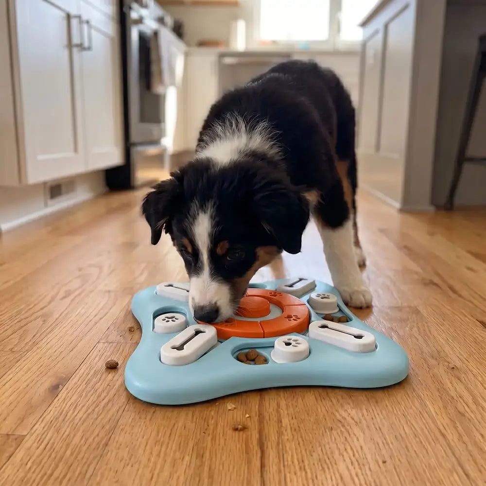 Pet IQ Training Feeder Board