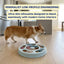 Slow Feeding Pet Puzzle Bowl