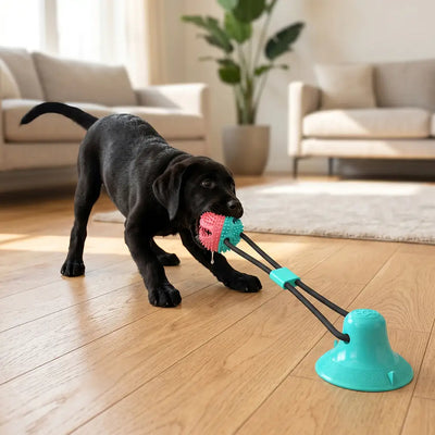 Interactive Dental Tug & Treat Toy