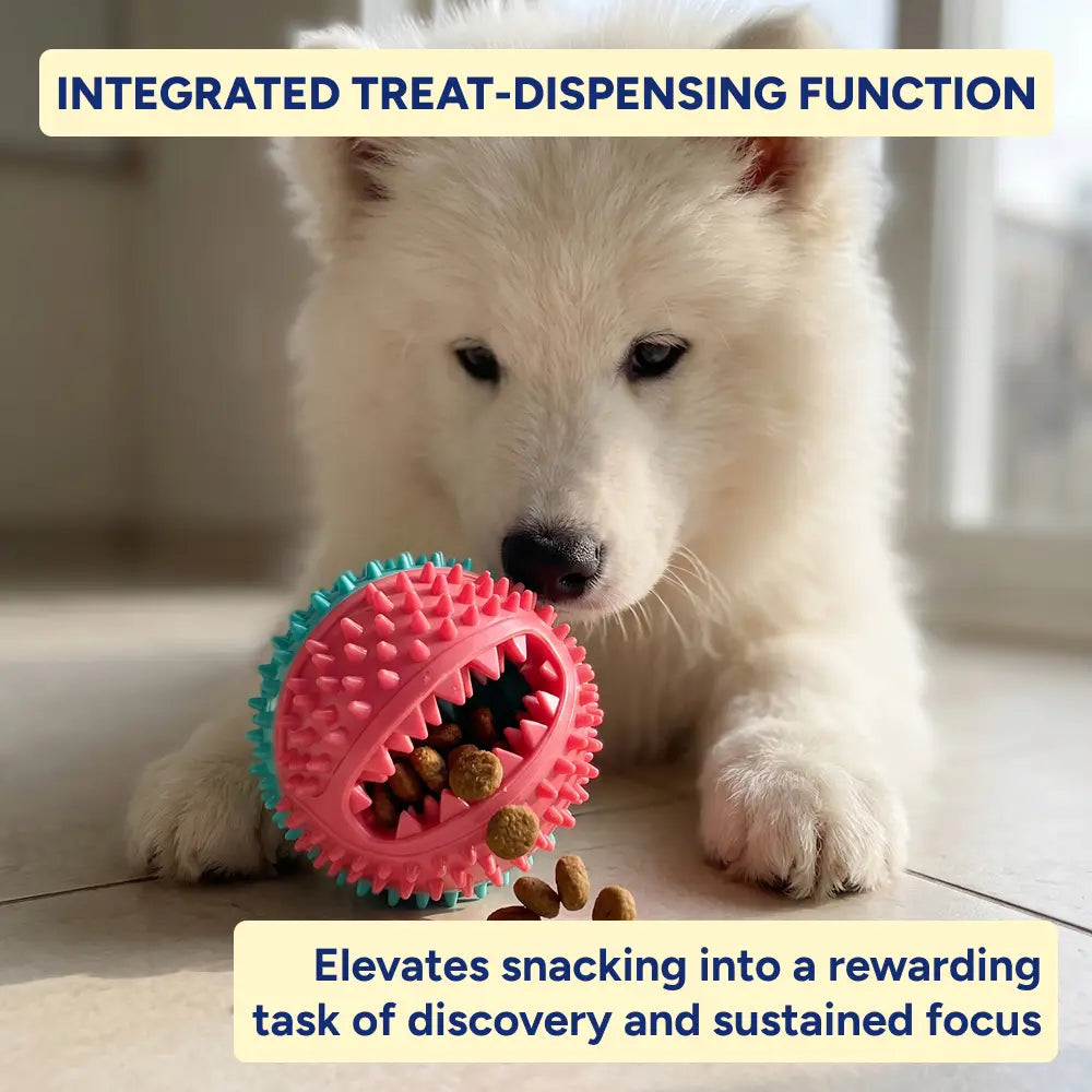 Interactive Dental Tug & Treat Toy
