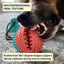 Interactive Dental Tug & Treat Toy