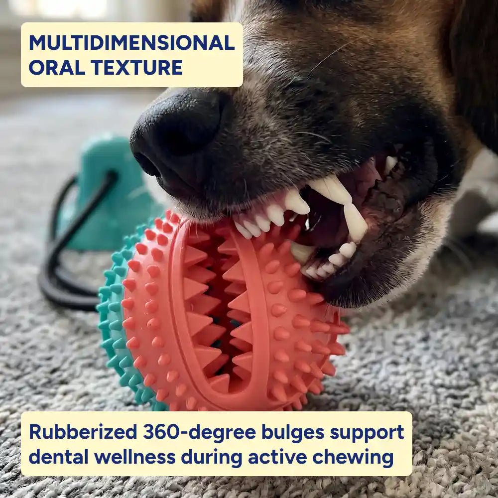 Interactive Dental Tug & Treat Toy