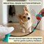 Interactive Dental Tug & Treat Toy