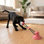 Interactive Dental Tug & Treat Toy