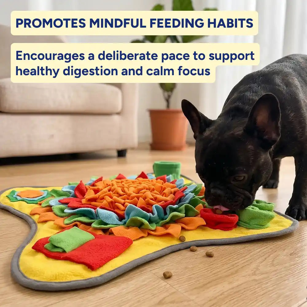 Snuffle Mat Dog Feeding Puzzle