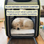 Expandable Mesh Backpack Pet Carrier