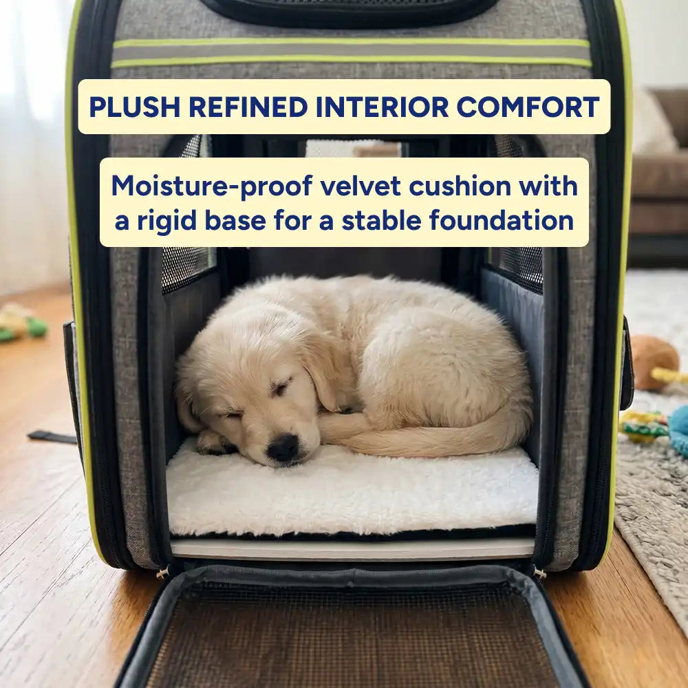 Expandable Mesh Backpack Pet Carrier