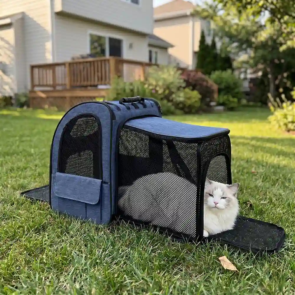 Expandable Mesh Backpack Pet Carrier