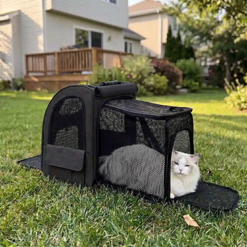 Expandable Mesh Backpack Pet Carrier