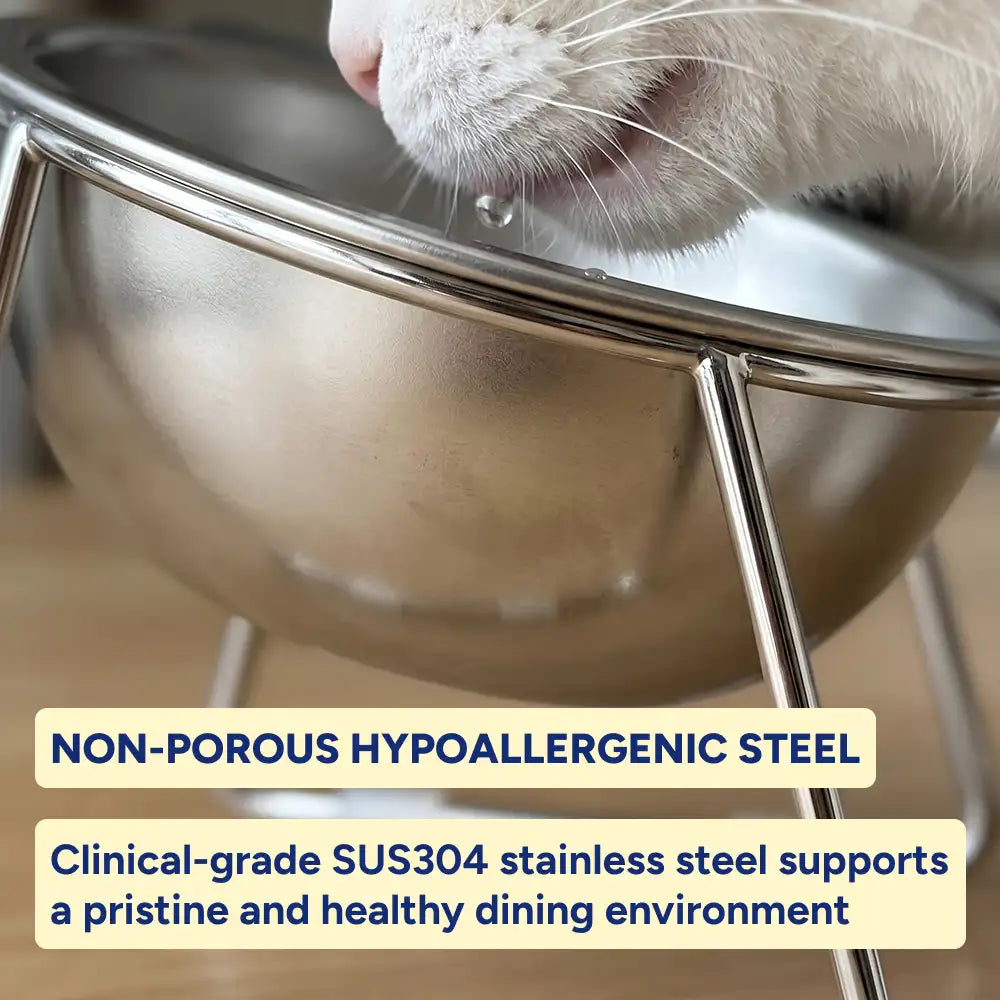 Tilted Ergonomic Cat Bowl
