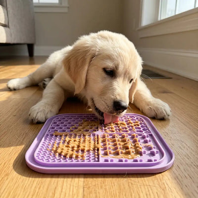 Silicone Pet Lick Mat