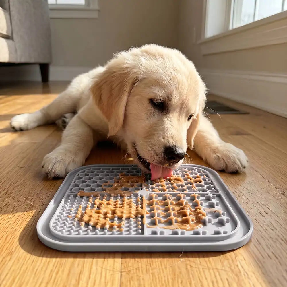 Silicone Pet Lick Mat