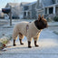 Plush Fleece Dog Winter Coat
