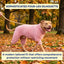 Plush Fleece Dog Winter Coat
