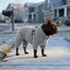 Plush Fleece Dog Winter Coat