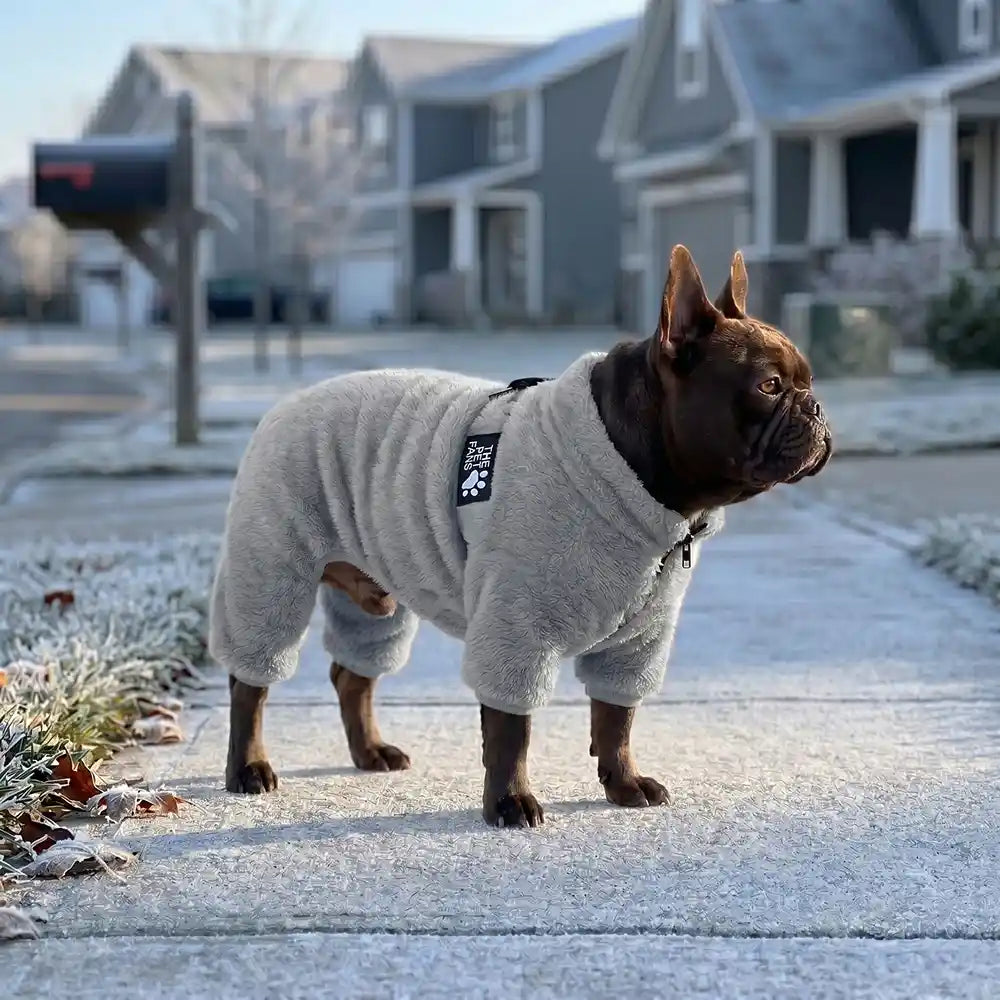 Plush Fleece Dog Winter Coat