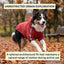 Reflective Dog Outdoor Hoodie