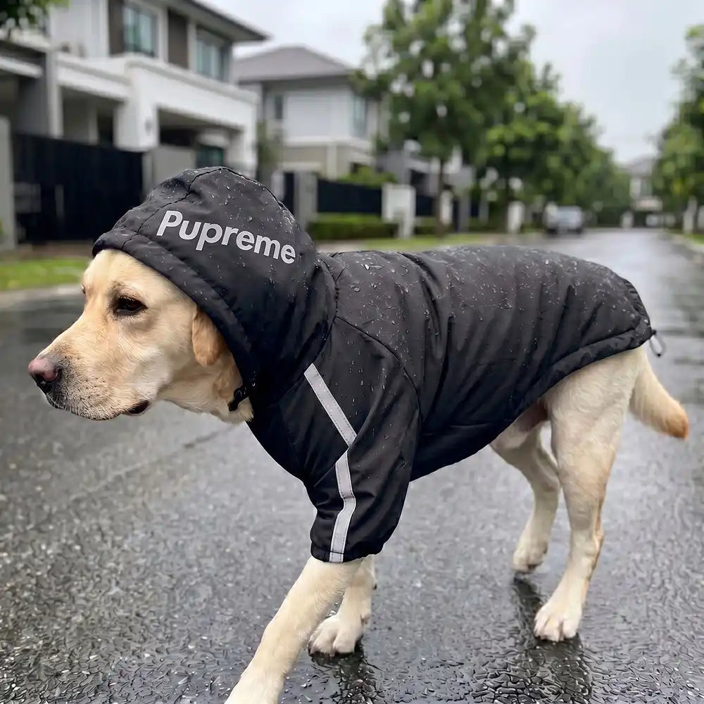 Reflective Dog Outdoor Hoodie