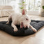 Heavy-Duty Waterproof Dog Mat