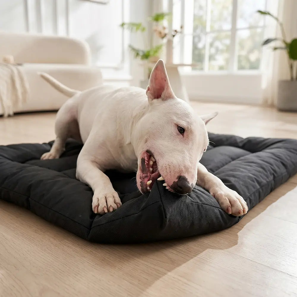 Heavy-Duty Waterproof Dog Mat