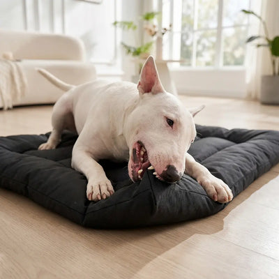 Heavy-Duty Waterproof Dog Mat