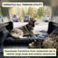 Heavy-Duty Waterproof Dog Mat