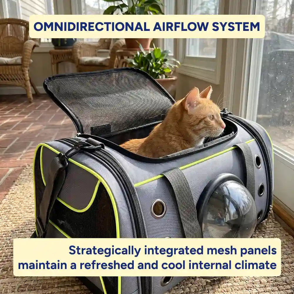 Space Capsule Bubble Pet Carrier