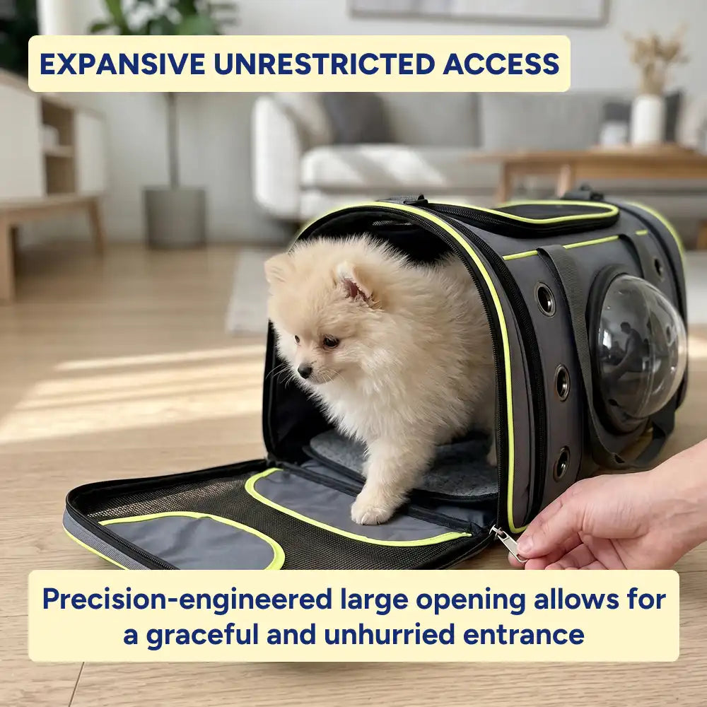 Space Capsule Bubble Pet Carrier