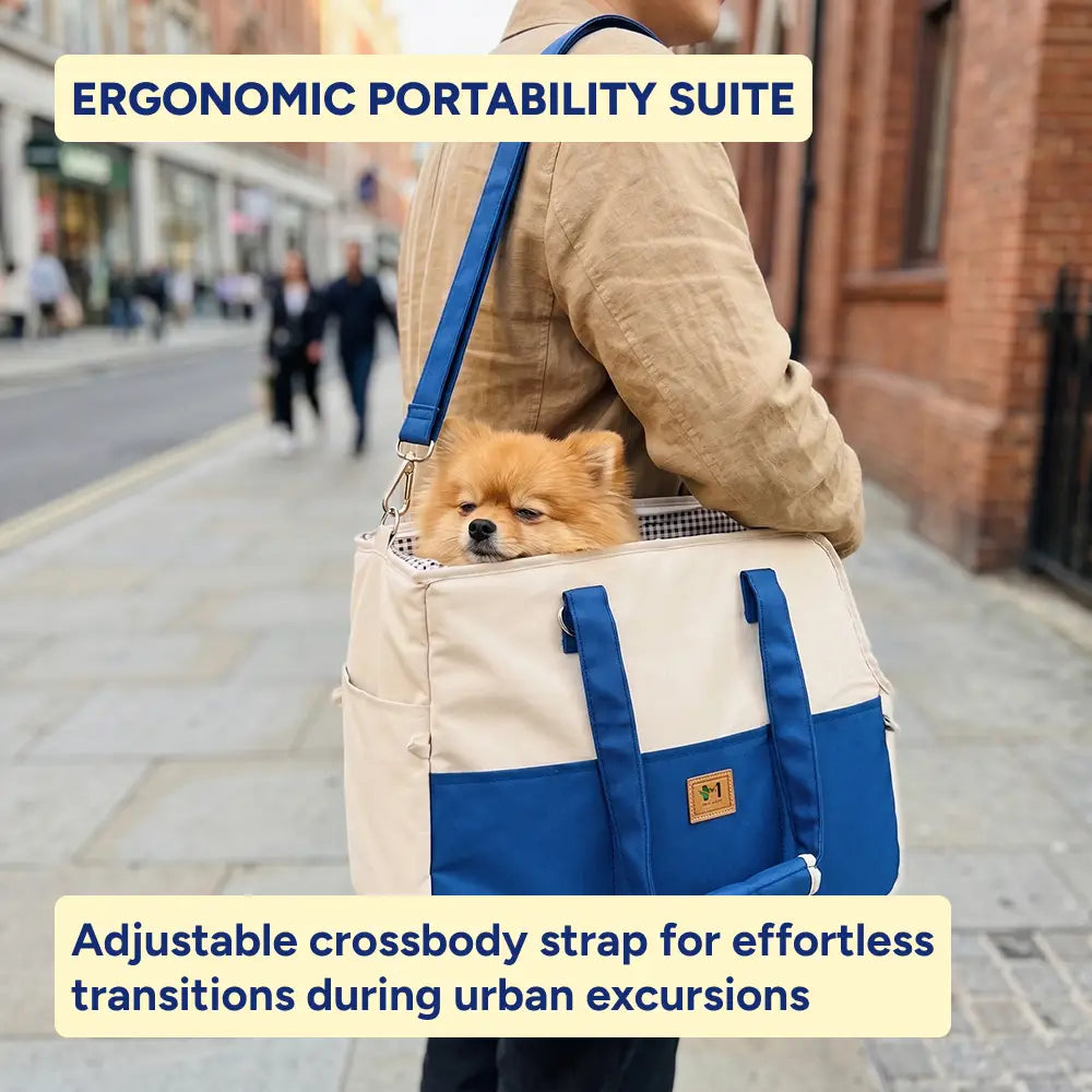 3-in-1 Pet Travel Carrier Set