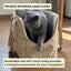 3-in-1 Pet Travel Carrier Set