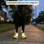 Fleece-Lined Reflective Dog Booties