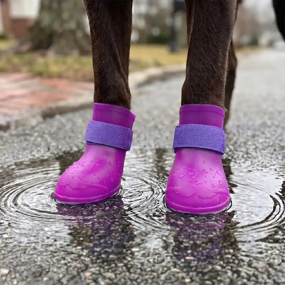 Rubber Sole Dog Rain Boots