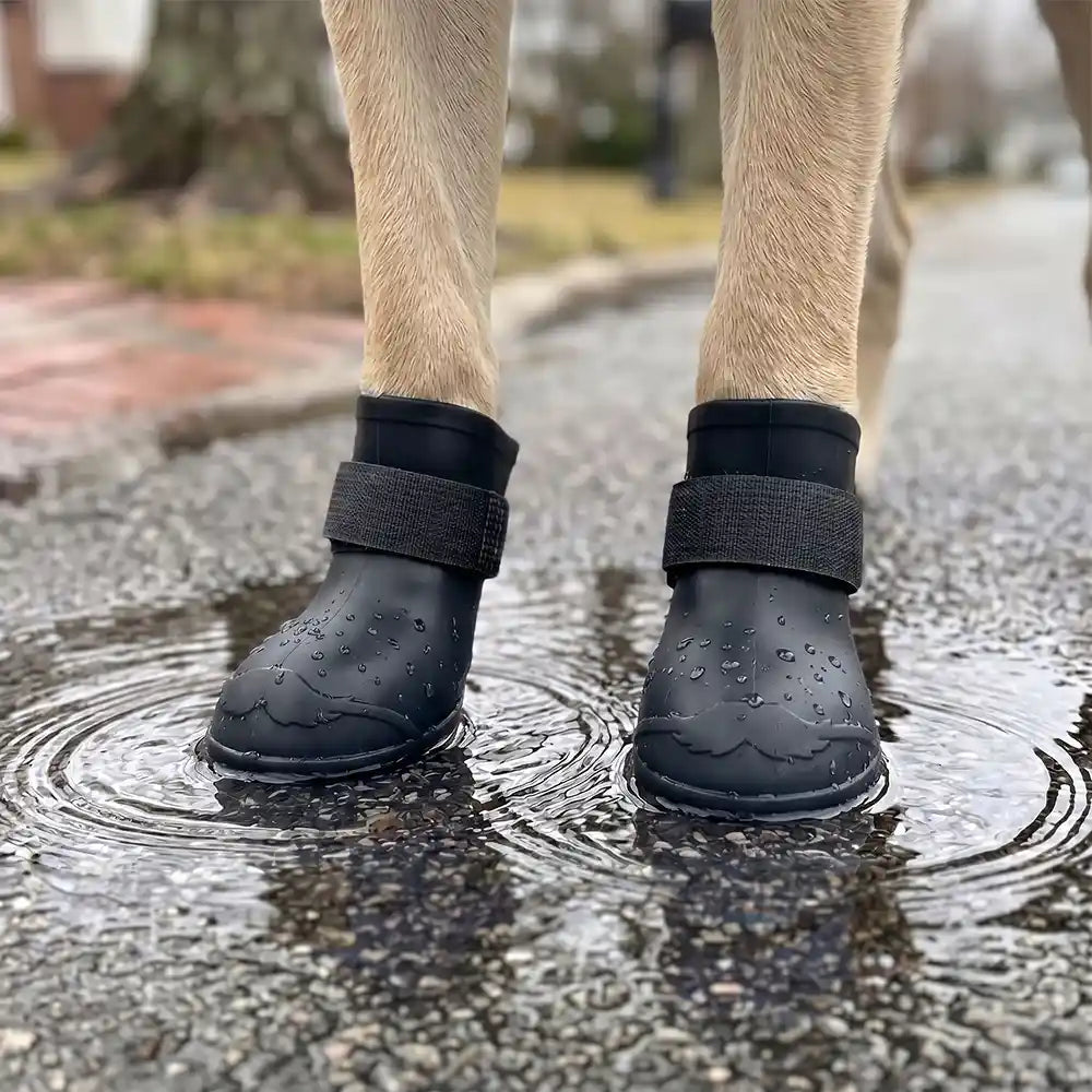 Rubber Sole Dog Rain Boots