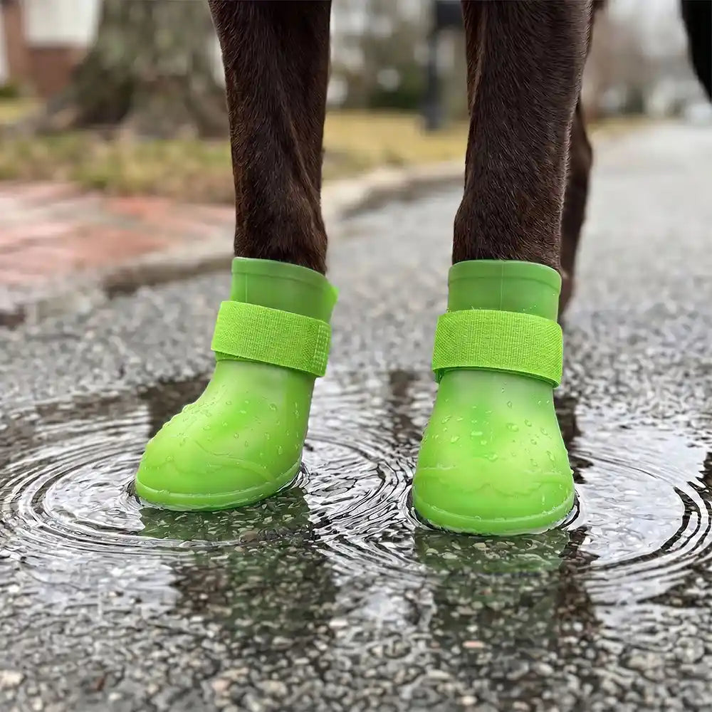 Rubber Sole Dog Rain Boots