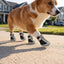 Breathable Mesh Dog Booties