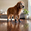 Anti-Slip Dog Traction Socks