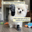 Anti-Slip Dog Traction Socks