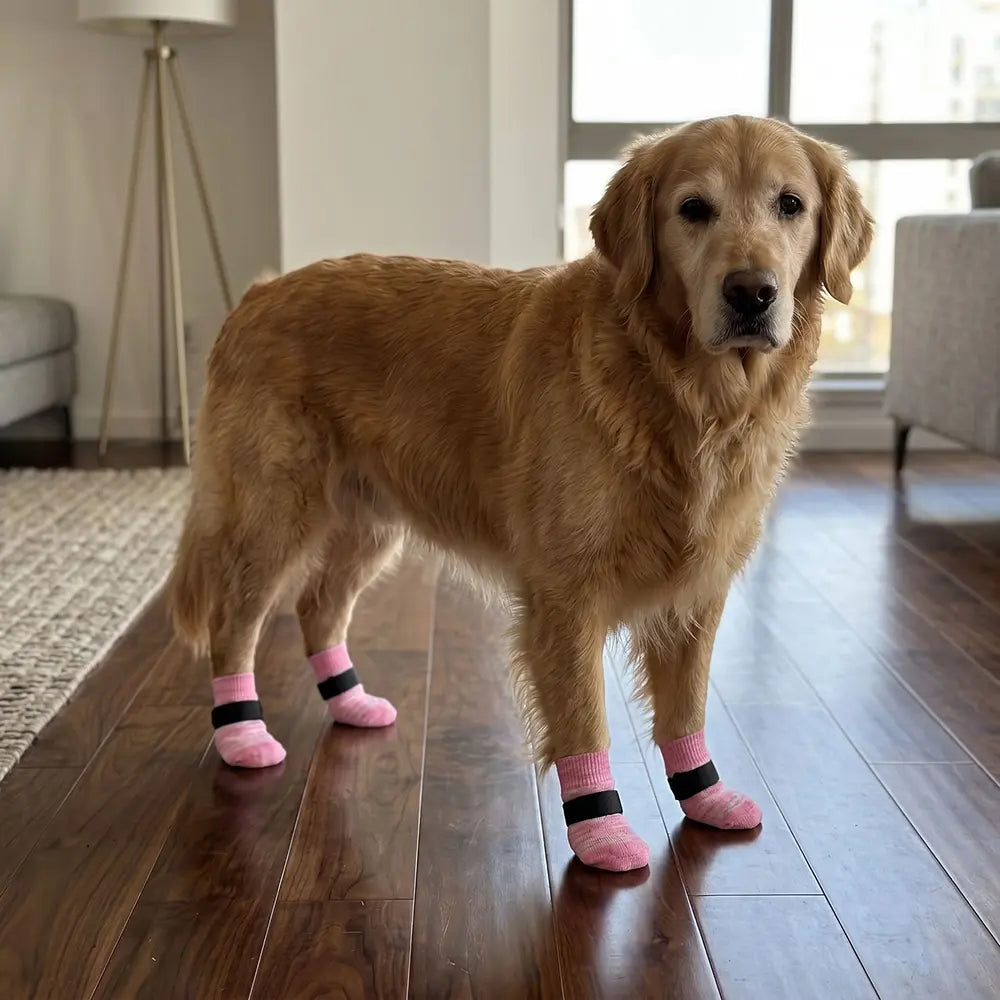 Anti-Slip Dog Traction Socks