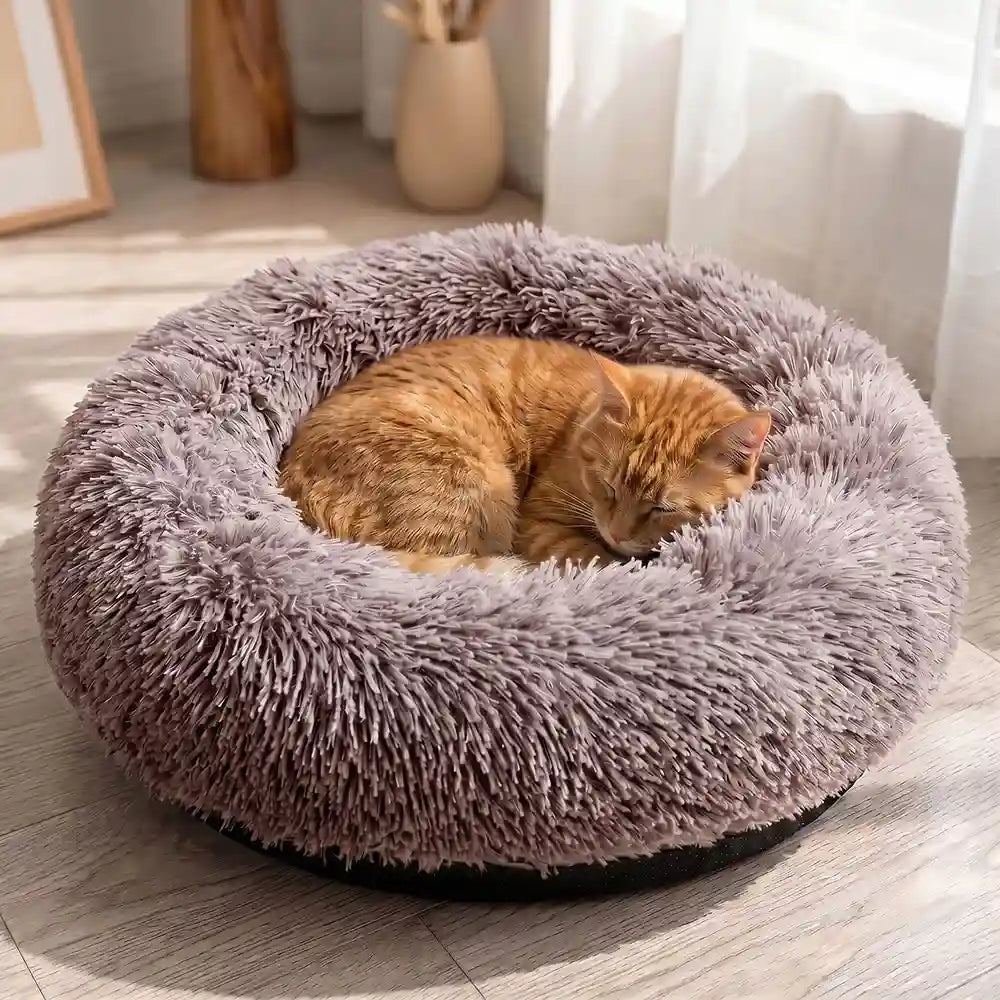 Plush Donut Pet Lounge Bed